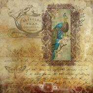 scrapbook vintage peacock mot text