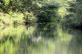 Stream Reflection River Bank