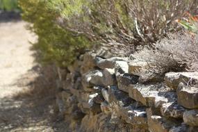 Stone Nature Garden