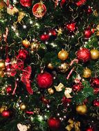 Christmas Fir Tree