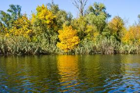 Autumn Dnieper Nature