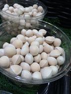 raw dumplings in a plate