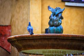 Birds Statue Animals Geyser