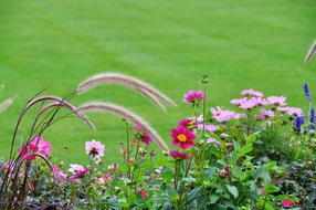 Grass Green Flowers
