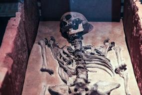 Old Skeleton Skull on graveyard