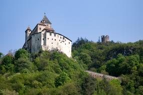 Castle Summer Forest