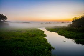 Nature River Behind