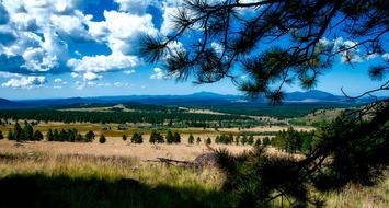 Arizona Landscape Meadow