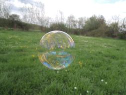 Bubble Soap Grass