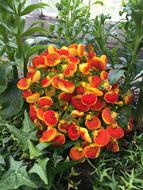 beautiful botanical garden