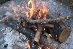 wooden bonfire in nature