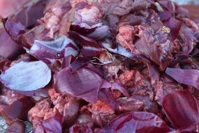 Purple onion shells