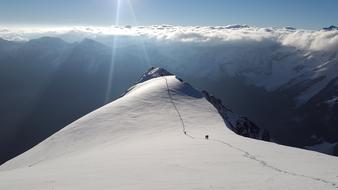Ortler High-Altitude Mountain Tour