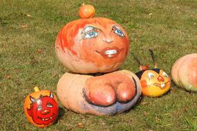 Pumpkin Pumpkins Halloween