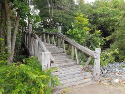 Bridge Nature in park Landscape