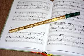 Music note and Irish Flute