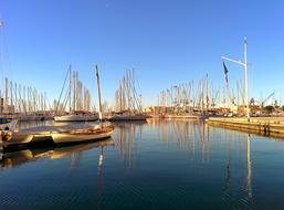 Harbor Quiet Sunlight