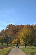 Walker in Autumn park