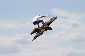 Skatebirding Freedom