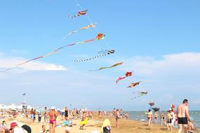 sandy beach with people resting