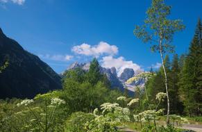 Mountains Nature Summer
