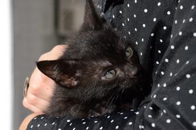 black kitten in her arms