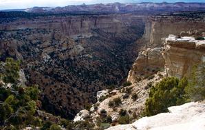 Mountain Day Landscape
