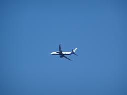 Flying aircraft, in the clear, blue sky, with no clouds