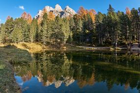 Autumn Lake Trees