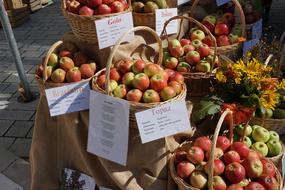 Apple Eat Vitamins