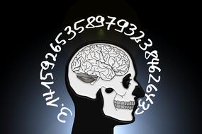 skull and numbers drawing