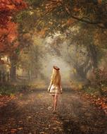fall autumn season nature october