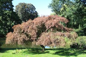 Hagen Beck Zoo Hagenbeck
