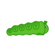 caterpillar cute nature bug green