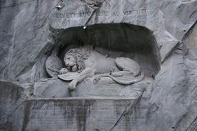 stone lion in the rock