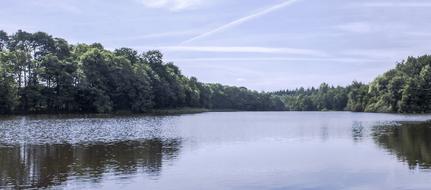 Lake Forest Reflection