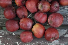 delicious fresh apples
