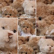 Beautiful and cute Teddy bears, on collage