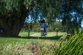 Bicycle Woman Park