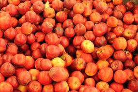 bunch of Red Apples