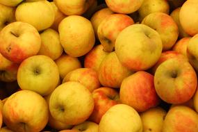 Apples Red Apple