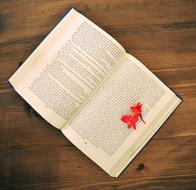 Retro Old Book pages