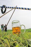 a large glass of beer on the grass