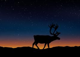deer silhouette landscape nature