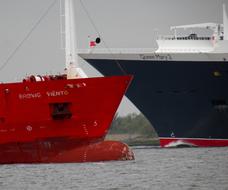 Container Cargo Maritime