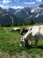 Mountains Alpine Panorama
