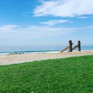 sea with green gazan