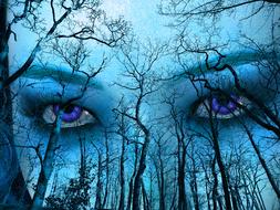 blue forest sky face eyes outdoor