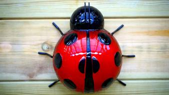 Insect Red ceramic