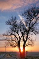 Sunset Winter Impressions Wintry